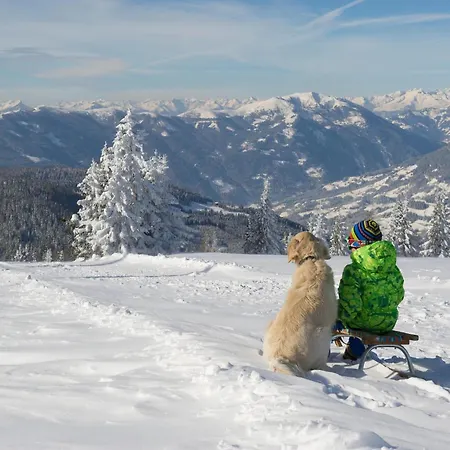 With Mountain View Sattendorf