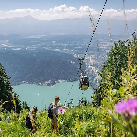 With Mountain View *